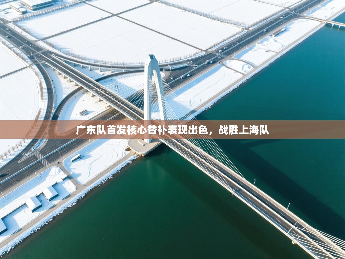 广东队首发核心替补表现出色，战胜上海队