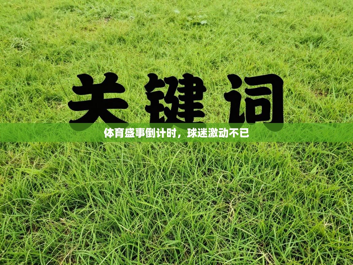 体育盛事倒计时,球迷激动不已 第1张