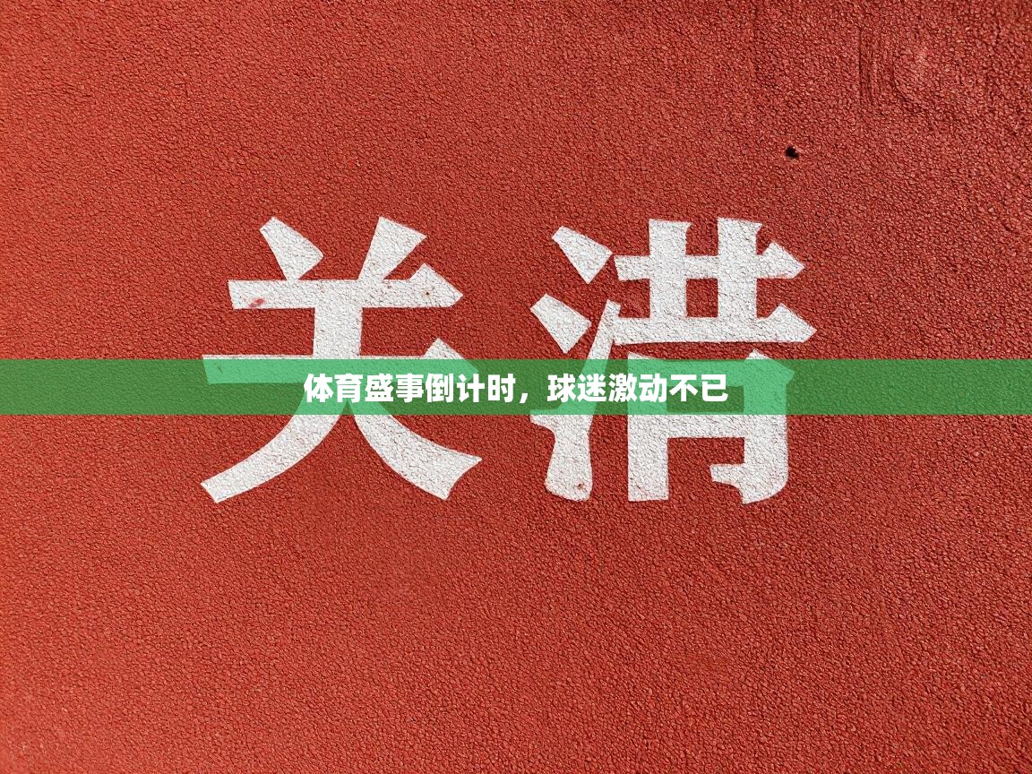 体育盛事倒计时,球迷激动不已 第2张